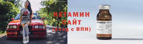 соль ск Дмитриев