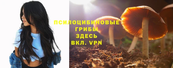 дмт Дмитровск