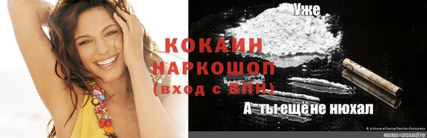 спайс Ельня