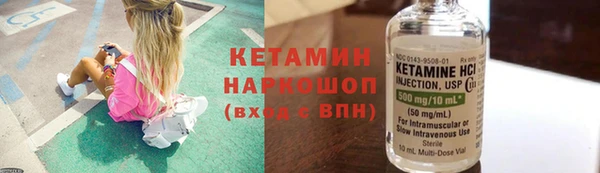 соль ск Дмитриев