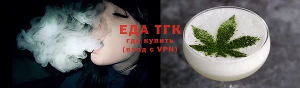 соль ск Дмитриев