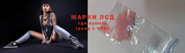 дмт Дмитровск