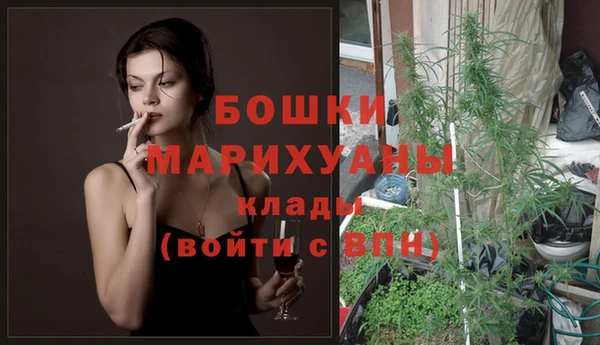 дмт Дмитровск