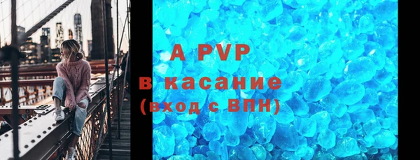 соль ск Дмитриев