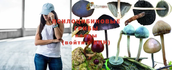 ECSTASY Дмитров