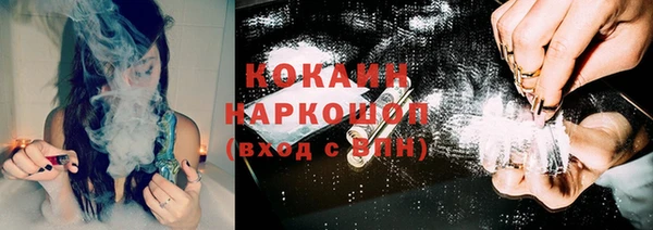 спайс Ельня