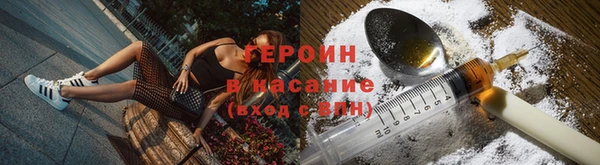 соль ск Дмитриев