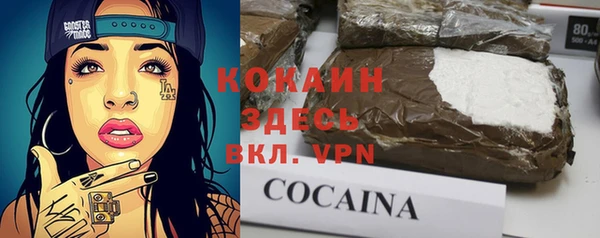 дмт Дмитровск
