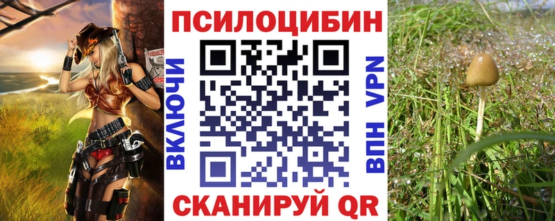 Псилоцибиновые грибы мицелий Высоцк