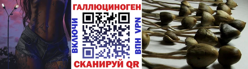 Псилоцибиновые грибы Cubensis  Купить  Высоцк 